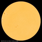 SDO/HMI Continuum Image of the Sun