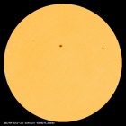 SDO/HMI Continuum Image of the Sun